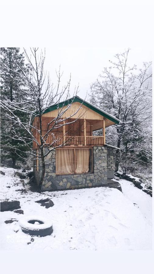 Villa Moksha - By The River Jibhi Exterior foto